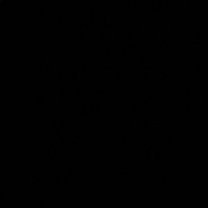 Meet your Posher, Geneva